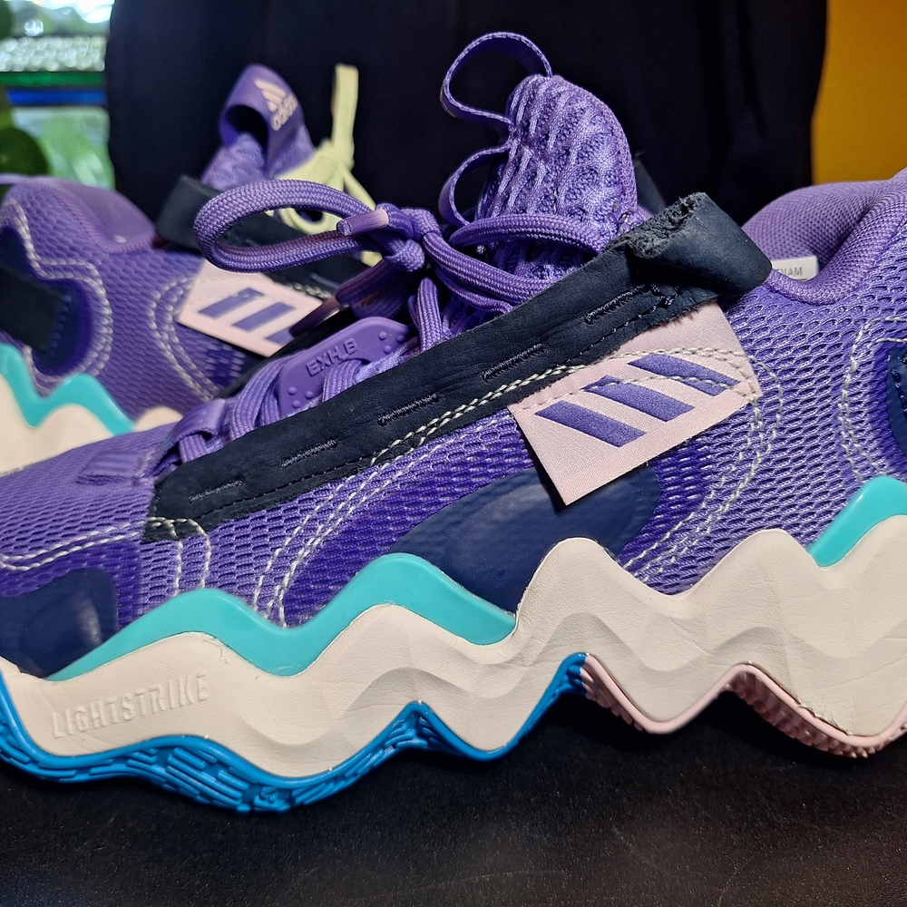 Adidas Sneakers in Purple and Teal